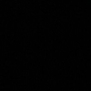 Meet your Posher, Lola